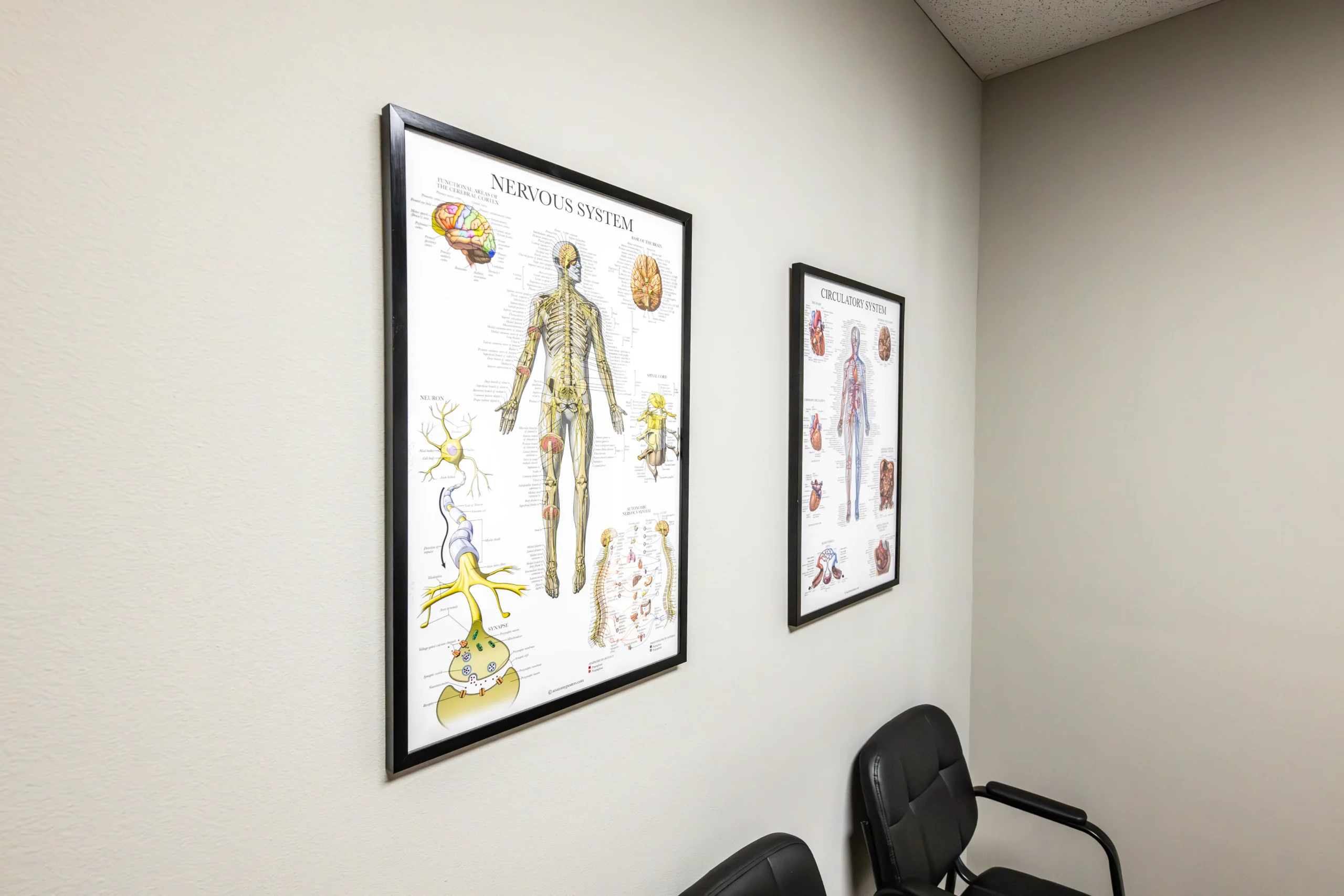 medberry primary care in san antonio tx